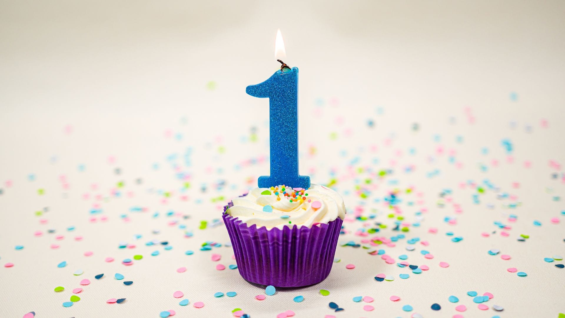 Anniversary Edition: Celebrating One Year of Collective Empowerment